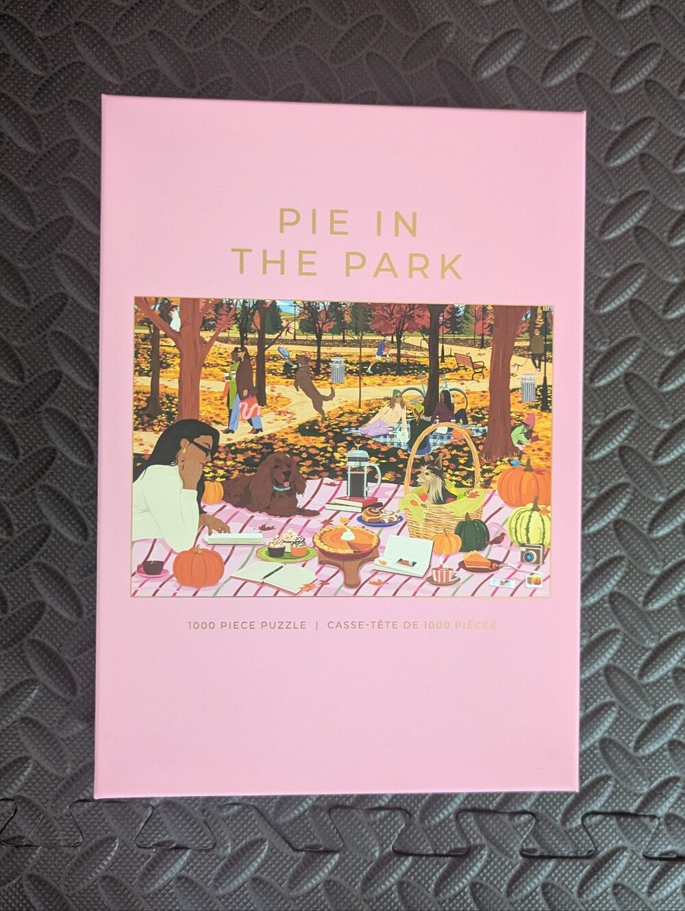 New - 1000 Piece Hobbry Puzzle - Pie in the Park